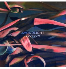 avondlicht - Blossom