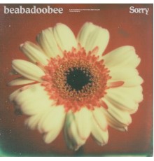 beabadoobee - Sorry