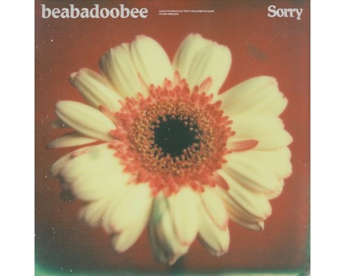 beabadoobee - Sorry