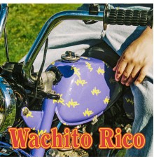 boy pablo - Wachito Rico