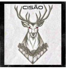 cisão - Cisão