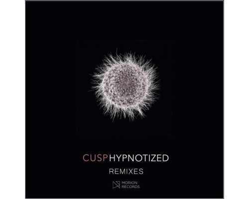 cusp - Hypnotized (Remixes)