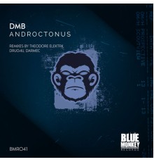 dMb - Androctonus