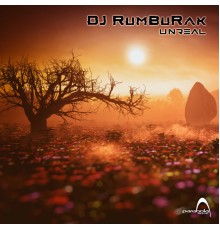 dj rumburak - Unreal