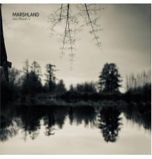 don Marsh V - Marshland