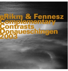 eRikm & Fennesz - Donaueschinen 2003