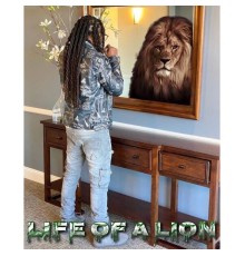 $imbaRoamDiff - Life Of A Lion