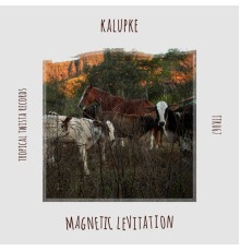 kalupke - Magnetic Levitation