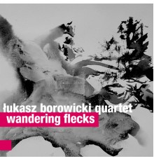 Łukasz Borowicki Quartet - Wandering Flecks