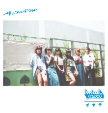 lyrical school - Summer Foundation