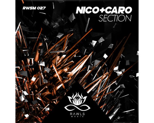 nico+caro - Section