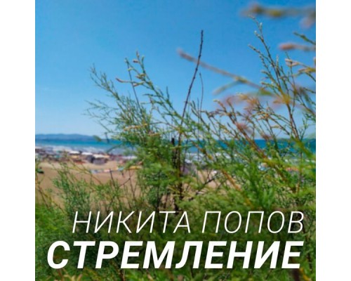 Никита Попов - Стремление