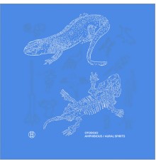 otodojo - Amphibious/aural Spirits