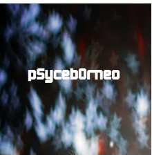 pSycebOrneo - The Beginning