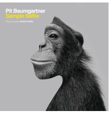 pit baumgartner - Sample Selfie