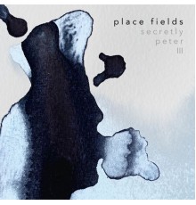 place fields - Secretly Peter