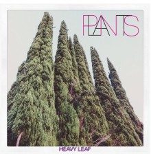 plants - Heavy Leaf