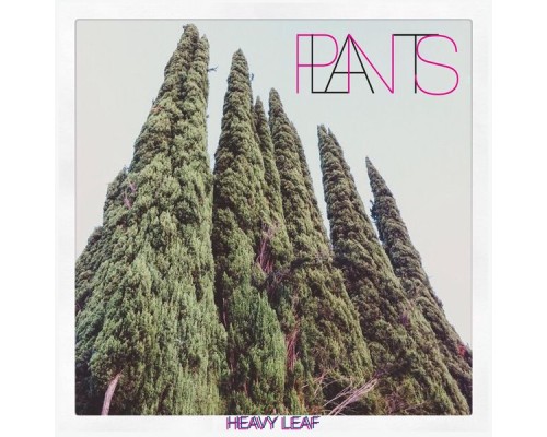 plants - Heavy Leaf