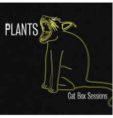 plants - Cat Box Sessions