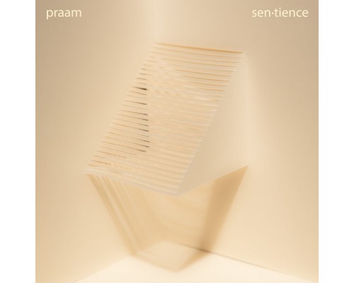 praam - sentience