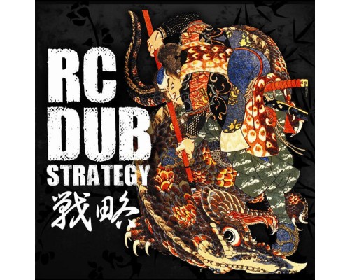 rc dub - Strategy