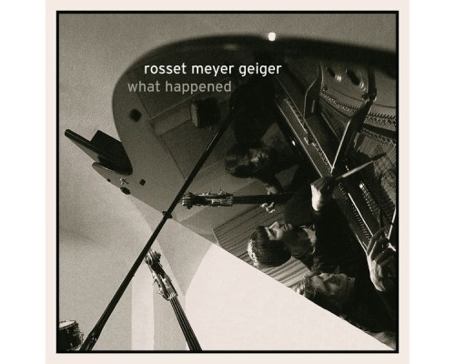 rosset meyer geiger - What Happened