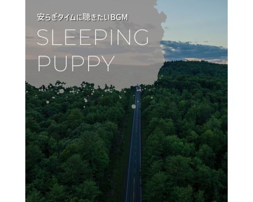 sleeping puppy, Kaito Yoshida - 安らぎタイムに聴きたいbgm