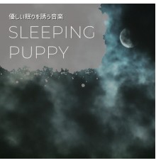 sleeping puppy, Kaito Yoshida - 優しい眠りを誘う音楽