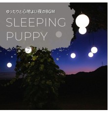 sleeping puppy, Kaito Yoshida - ゆったりと心地よい夜のbgm