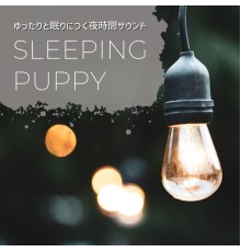 sleeping puppy, Kaito Yoshida - ゆったりと眠りにつく夜時間サウンド