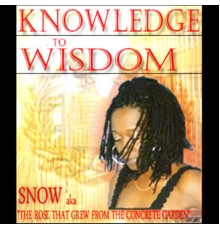 snow - Knowledge To Wisdom