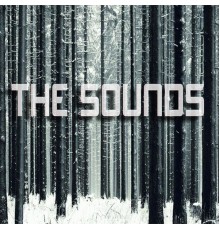 sowndwave - THE SOUNDS