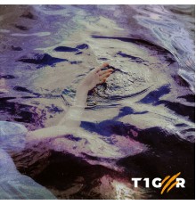 t1ger - Mach Mal Piano