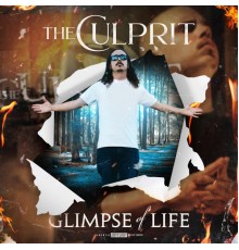 the Culprit - Glimpse of Life