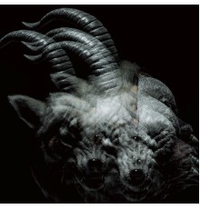 the GazettE - BEAUTIFUL DEFORMITY