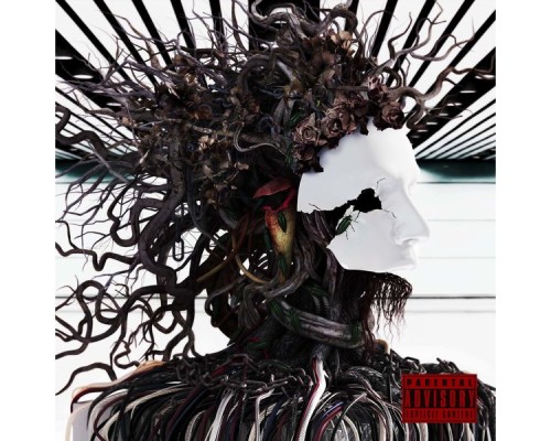 the GazettE - DISTRESS AND COMA