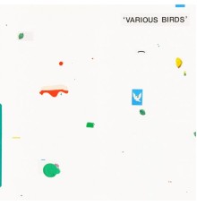 water feature - Various Birds