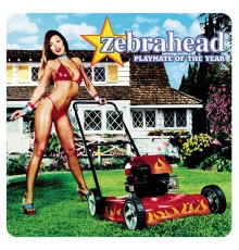 zebrahead - Playmate Of The Year